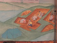 �����������